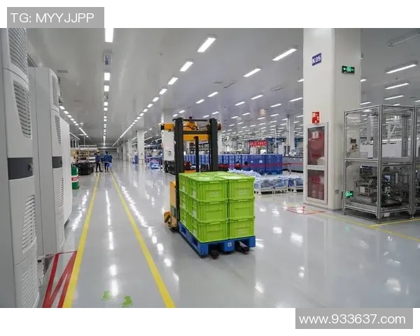 十年磨一剑K1塑造专业体育新标杆与未来发展之路